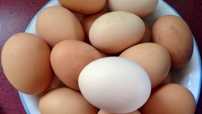 USDA Organic Certified Eggs